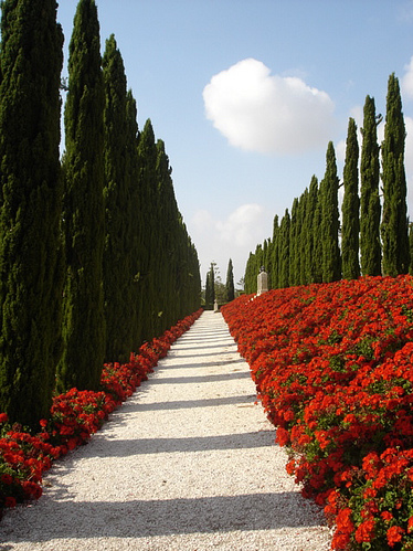 Another view of the Bahai Gardens in Bahji